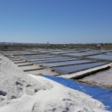 Salinas de Aveiro